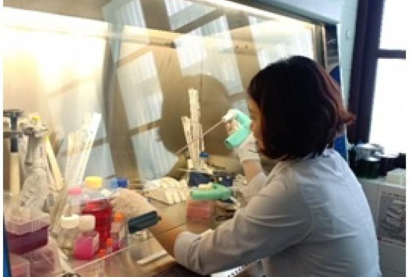 Scientists have evaluated invitro cytotoxicity of platinum complexes on human epidermoid carcinoma cells and breast cancer cells. Photo vast.ac.vn