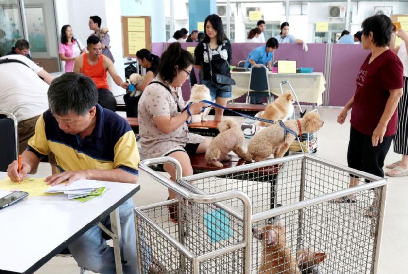 When staying well gets expensive pricegouging probe extends to vet clinics as well as private