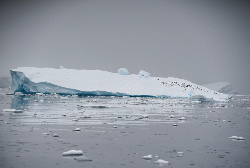 An iceberg floats in Andvord Bay, Antarctica, Feb 14, 2018. [Photo/Agencies]