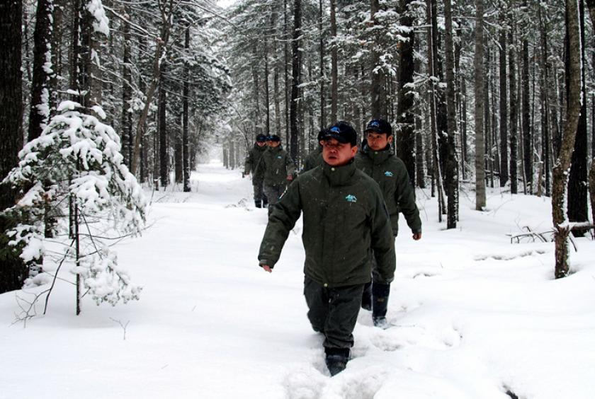 Forest rangers patrol the Changbai Mountains National Nature Reserve during winter. China Daily