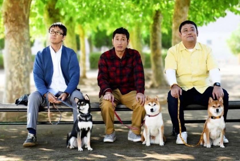 Three Japanese Men With Shiba Dogs Create Unique Tv Show