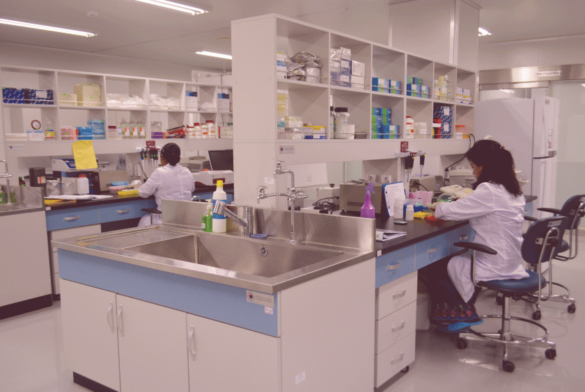 Researchers at Medical Research Department. (Photo-Ei Thinzar Kyaw)