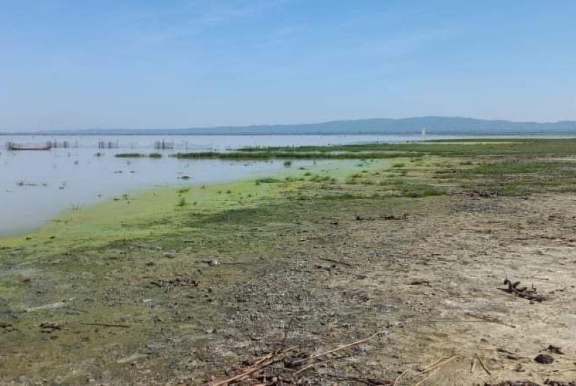 Photo shows the Yaymyatgyi Lake in Sagaing Township where the jet fighter crashed. 