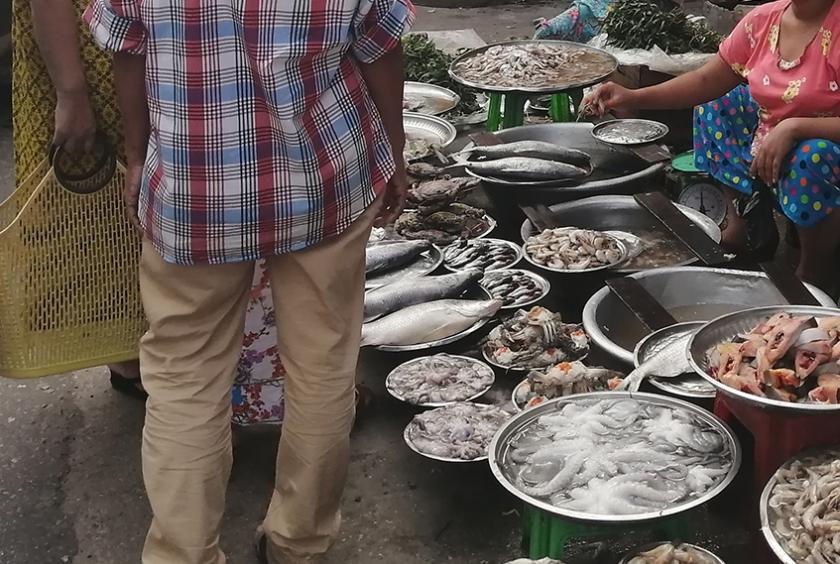 Fish on sale at a market in Yangon (Photo-Lwin Myo Thu) 