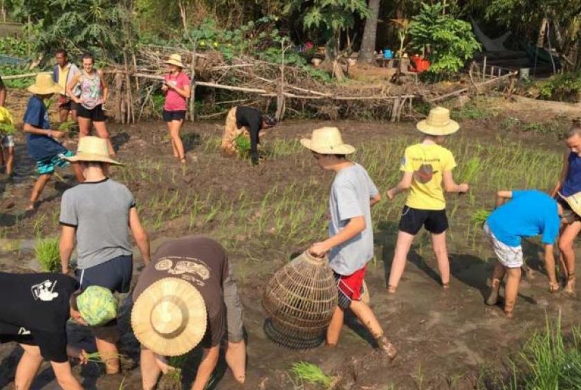 Guests sample what it’s like to be a rice farmer. While guests enjoy a rural lifestyle experience, the homestay is also equipped with modern amenities, including air-conditioning and a huge swimming pool. Photo supplied