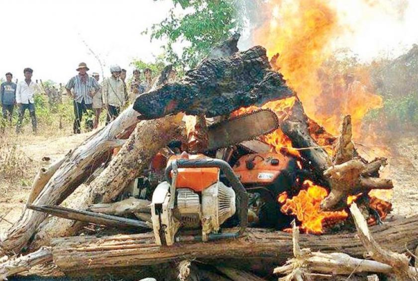 Illegal logging found by Prey Lang forest patrol in Kampong Thom province in 2015. /Phnom Penh Post