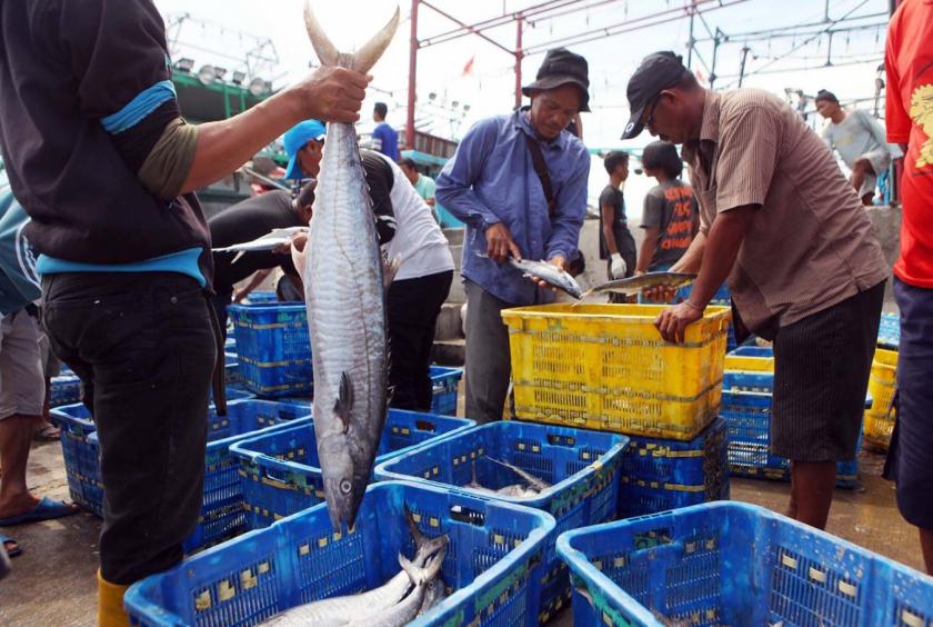 Fishermen unload fish from their boat at Muara Angke Port, North Jakarta. (JP/Seto Wardhana. )