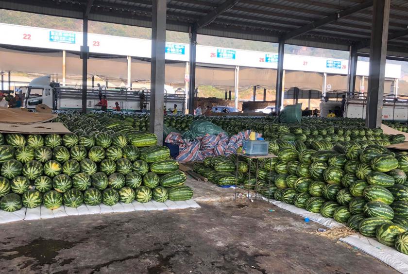 Watermelons and muskmelons stockpiled at the Wantein fruit camp as market stagnates due to the coronavirus outbreak (Photo-Tun Nay Hlaing) 
