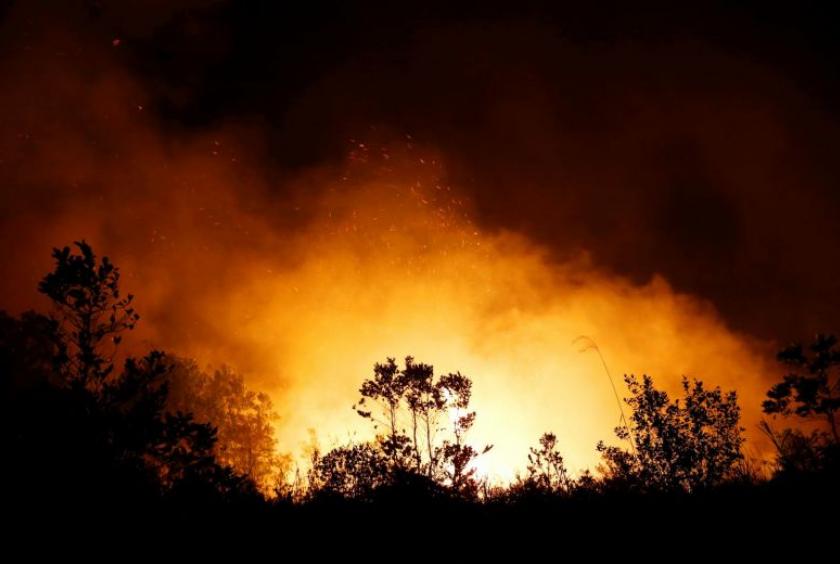 Trees and peatland burn in a fire in Palangka Raya, Central Kalimantan province, Indonesia, on Sept 17, 2019.PHOTO: REUTERS