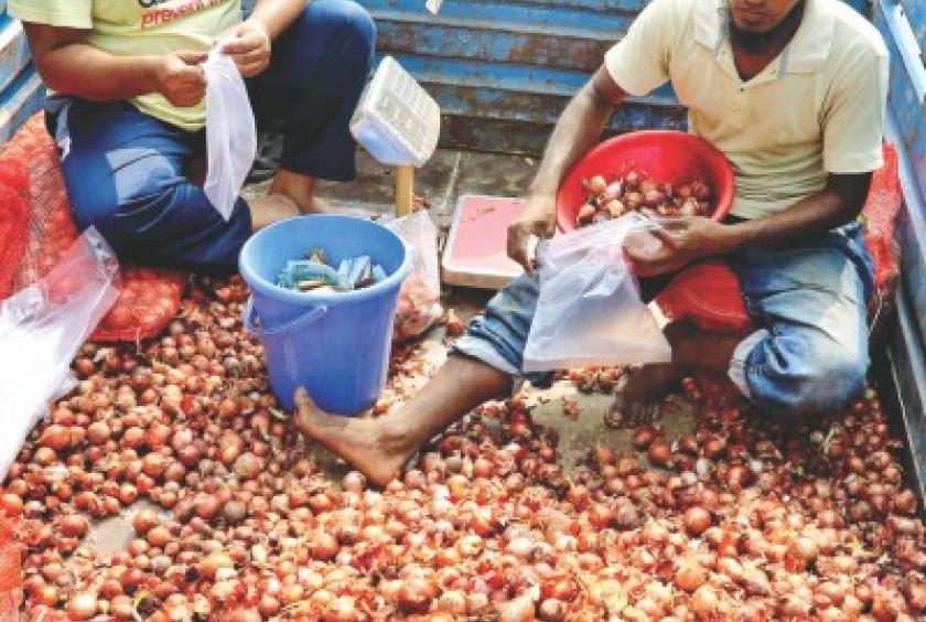Onion Market Onion Market