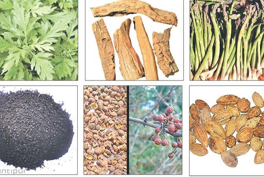 India bans herb import from Nepal Eleven Media