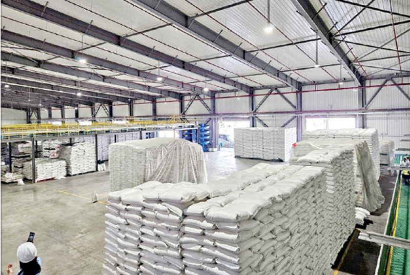 Myanmar plans to export 3 million tonnes of rice and broken rice in  2025-2026 FY | Eleven Media Group Co., Ltd