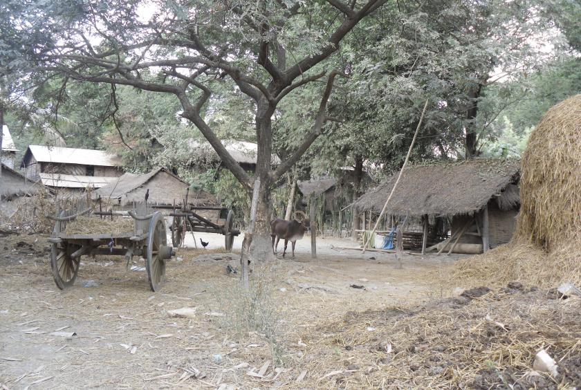 A village in western Bago.