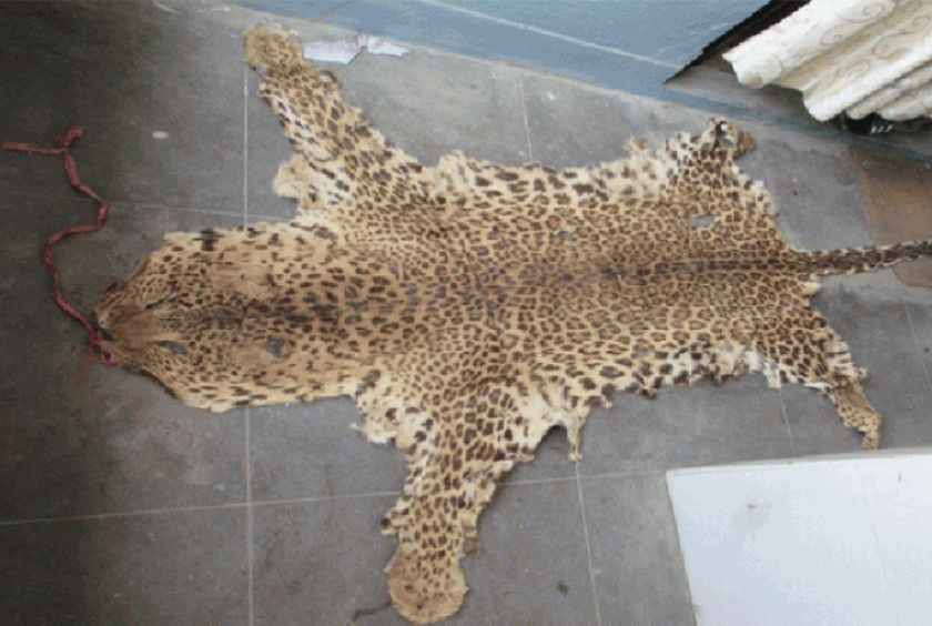 Trade in wildlife parts has threatened endangered animal species. Post File Photo 