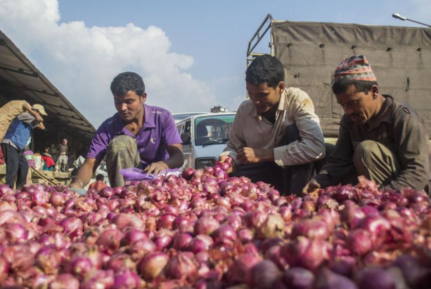 Workers select good onions from a pile of onion imported from India at Kalimati Fruits and Vegetable Market. POST FILE PHOTO  