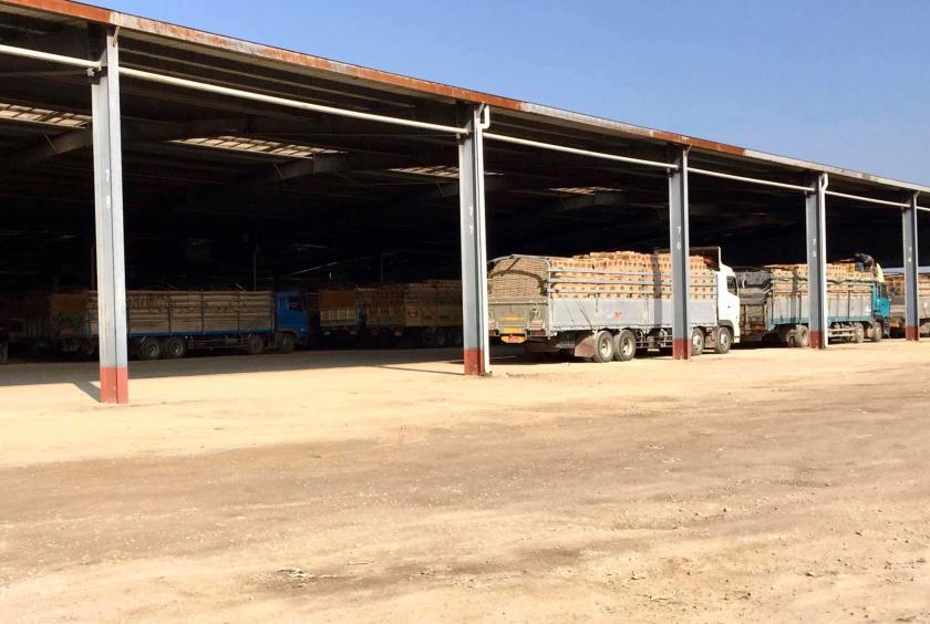 Trucks loaded with fruits arrive at Muse trade zone on January 28 