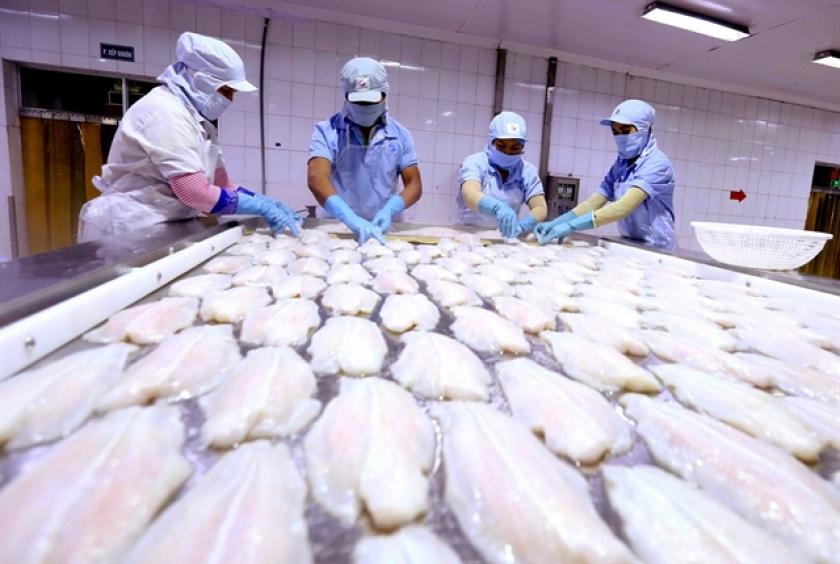 Tra fish processed for export at Cửu Long An Giang Seafood Import - Export Company in An Giang Province. S&P gave a stable outlook on Việt Nam, reflecting expectation that the economy would continue to expand rapidly.  — VNA/VNS Photo Vũ Sinh 