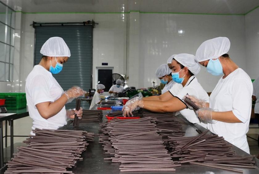 Rice flour made at the Bột (Flour) Village in Sa Đéc City in the Mekong Delta province of Đồng Tháp is used to make eco-friendly straws. – VNS Photo Ngọc Diệp 