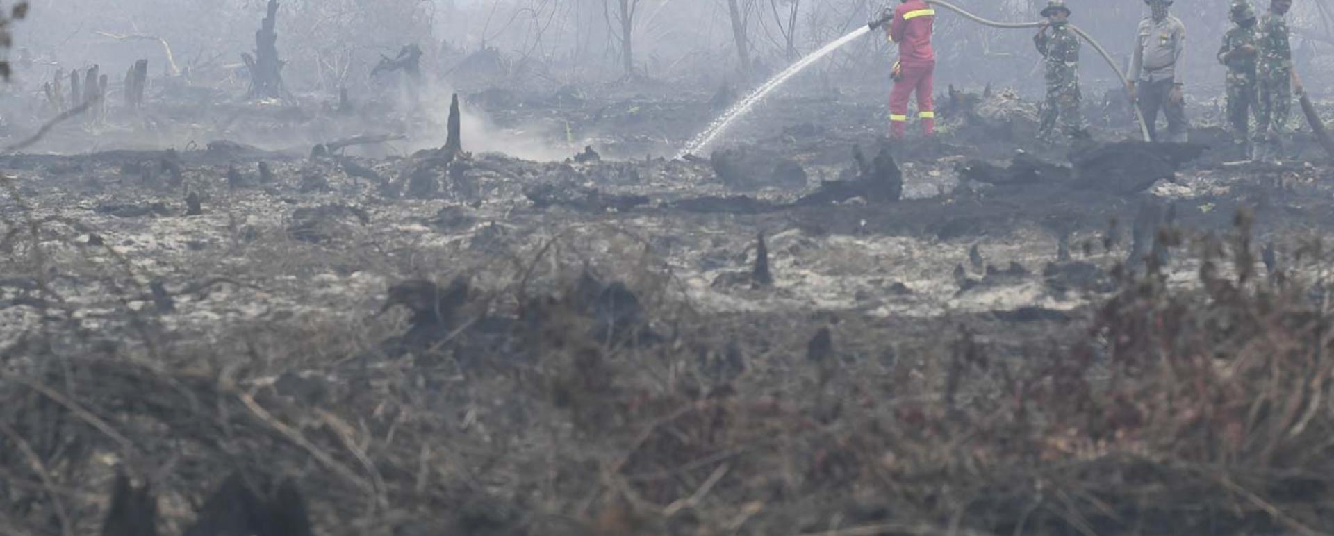 Local authorities work together to put out land and forest fires in Merbau village of Bunut district, Pelalawan regency, Riau, on Tuesday. (Antara/Puspa Perwitasari) 