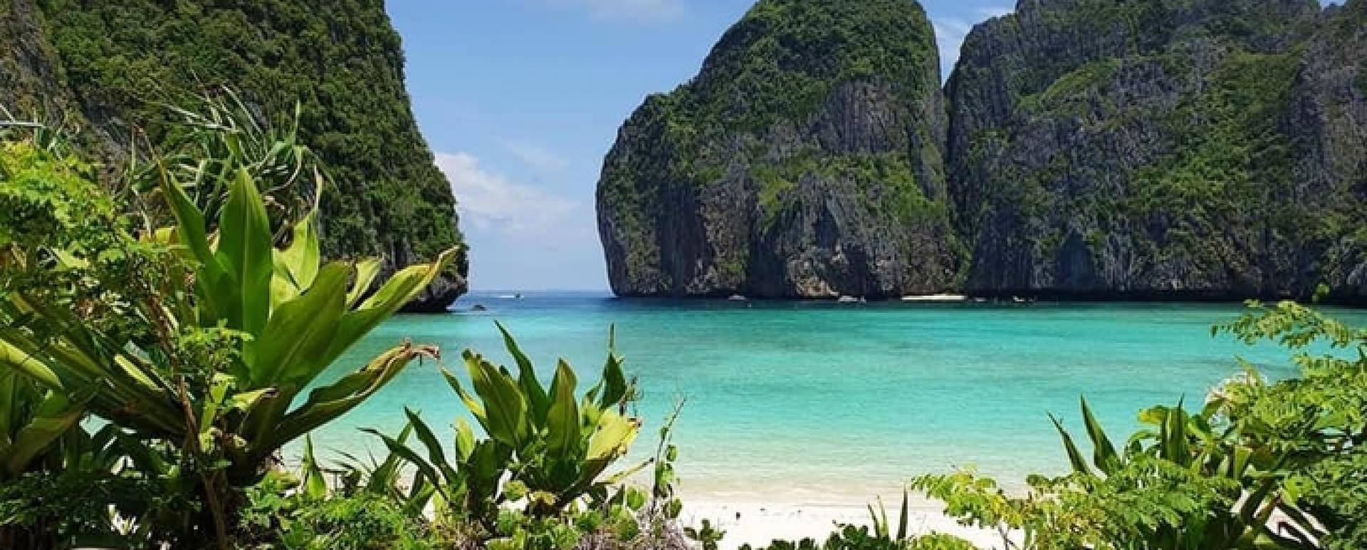 Months after being closed to tourists, the world-famous Maya Bay is showing encouraging signs of recovery. /Credit:Thon Thamrongnawasawat