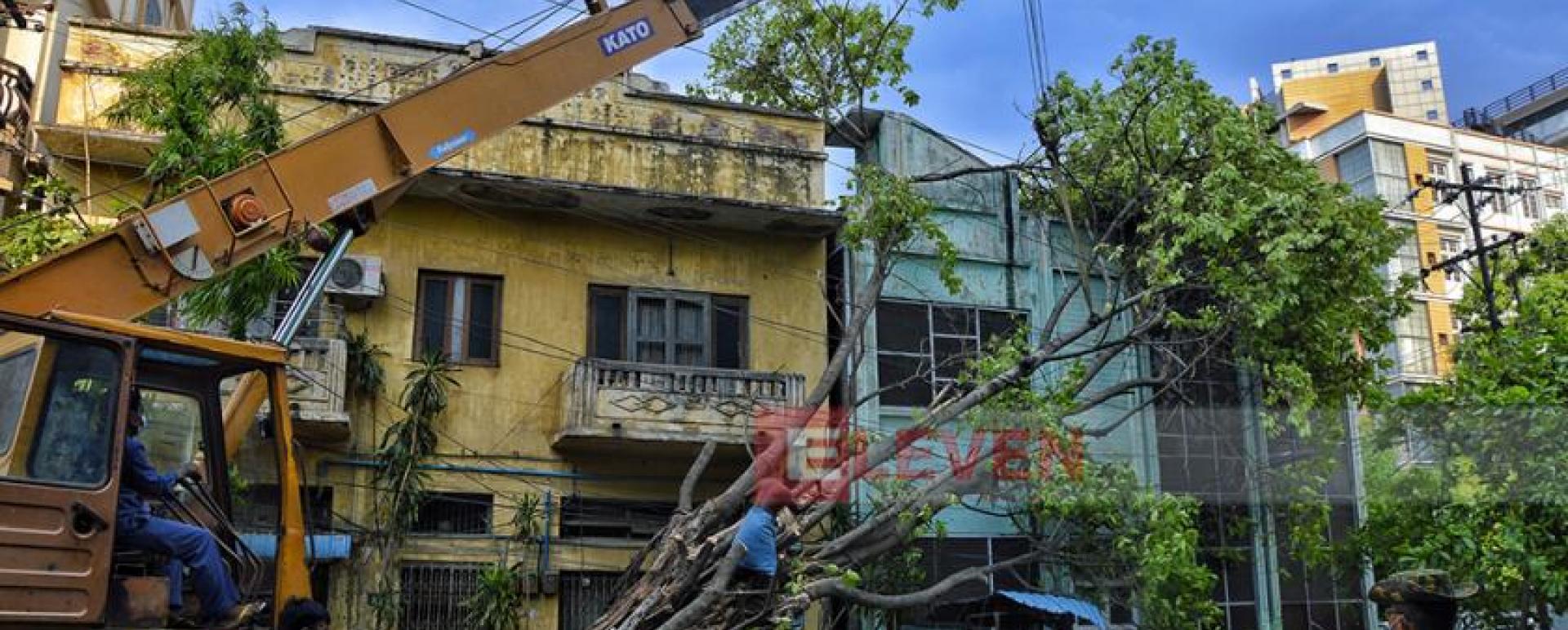 Trees felled from strong wind in Mandalay.
